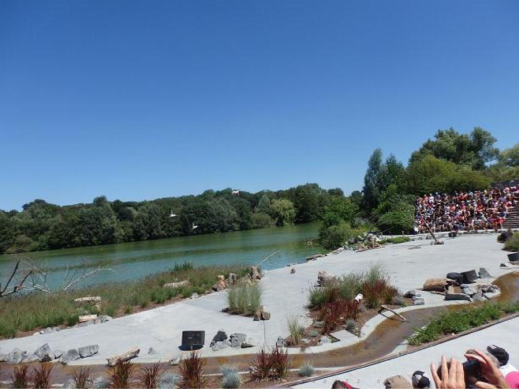 101PARC AUX OISEAUX DANS L AIN 2016 3_000025.jpg